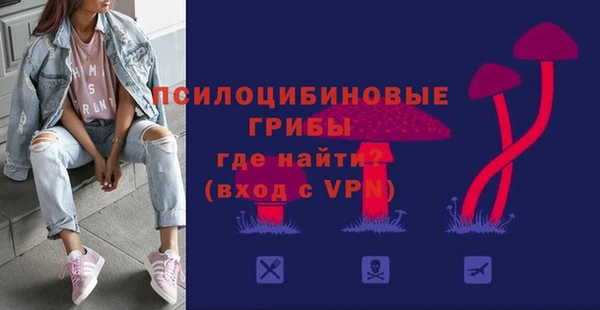2c-b Каменка