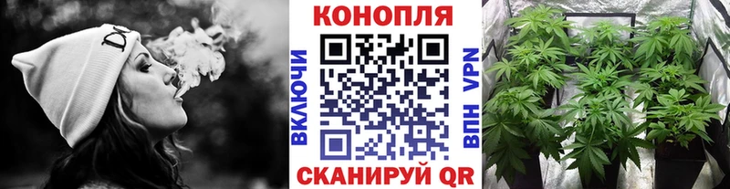 нарко площадка какой сайт  Карабаново  Шишки марихуана LSD WEED  мега вход 